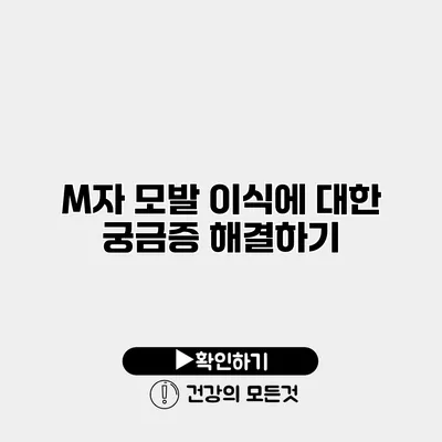 M자 모발 이식에 대한 궁금증 해결하기