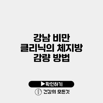 강남 비만 클리닉의 체지방 감량 방법