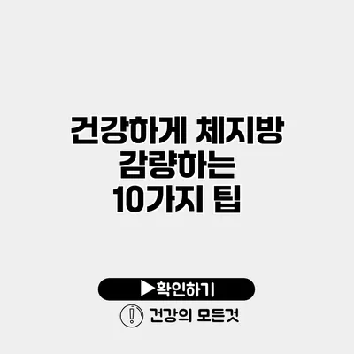 건강하게 체지방 감량하는 10가지 팁