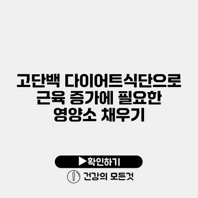 고단백 다이어트식단으로 근육 증가에 필요한 영양소 채우기
