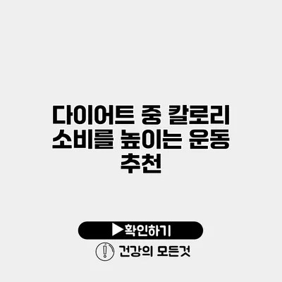 다이어트 중 칼로리 소비를 높이는 운동 추천