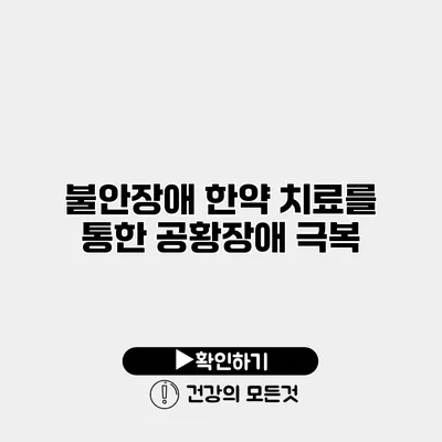 불안장애 한약 치료를 통한 공황장애 극복