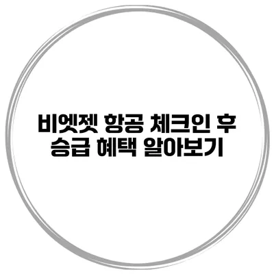 비엣젯 항공 체크인 후 승급 혜택 알아보기