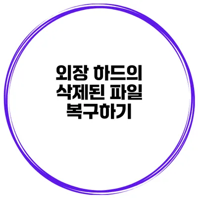 외장 하드의 삭제된 파일 복구하기