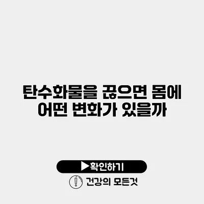 탄수화물을 끊으면 몸에 어떤 변화가 있을까?