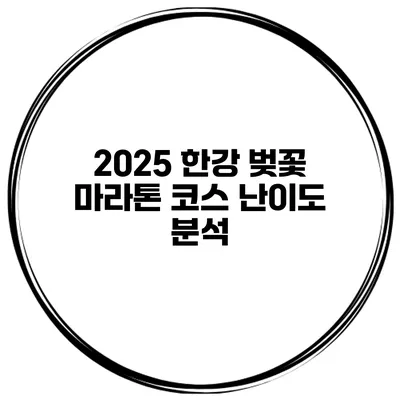 2025 한강 벚꽃 마라톤 코스 난이도 분석