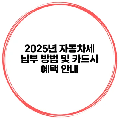 2025년 자동차세 납부 방법 및 카드사 혜택 안내
