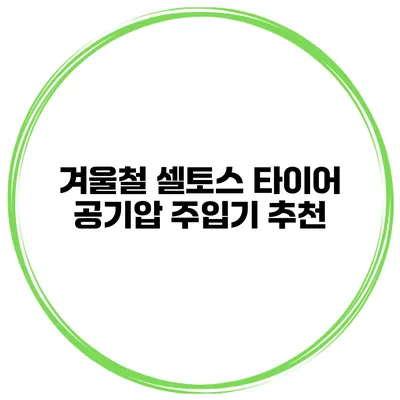 겨울철 셀토스 타이어 공기압 주입기 추천