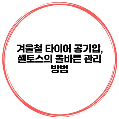겨울철 타이어 공기압, 셀토스의 올바른 관리 방법