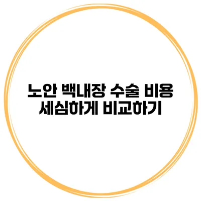 노안 백내장 수술 비용 세심하게 비교하기