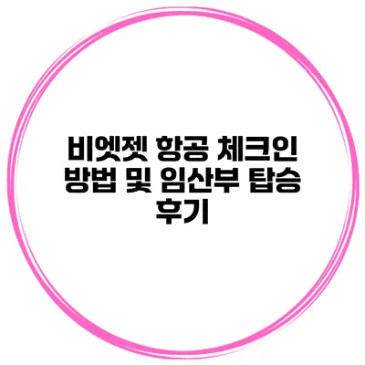 비엣젯 항공 체크인 방법 및 임산부 탑승 후기