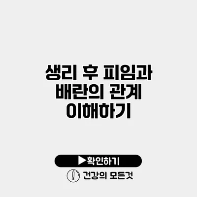 생리 후 피임과 배란의 관계 이해하기