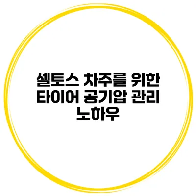 셀토스 차주를 위한 타이어 공기압 관리 노하우
