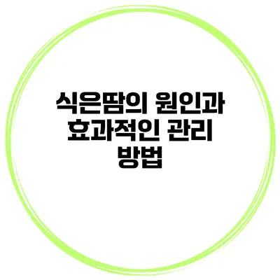 식은땀의 원인과 효과적인 관리 방법