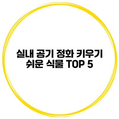 실내 공기 정화 키우기 쉬운 식물 TOP 5