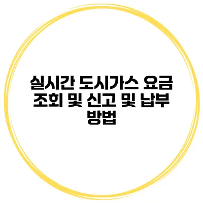 실시간 도시가스 요금 조회 및 신고 및 납부 방법