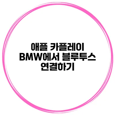 애플 카플레이 BMW에서 블루투스 연결하기